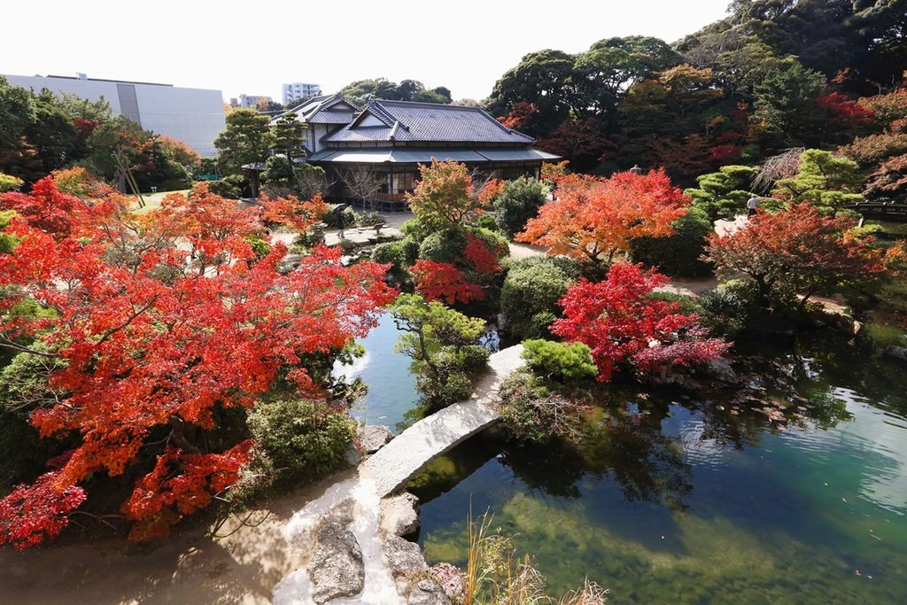 🏛️ 아지스 이구라노야카타・구 나카가와 가 주택 이미지 5